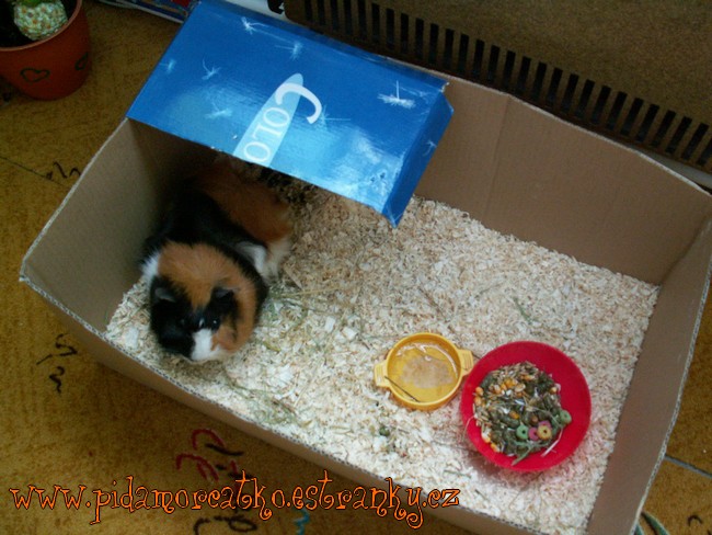 PICT0025.JPG